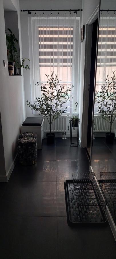 Apartamenty Magvel Шчечин Екстериор снимка
